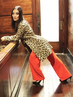 AceKuchuLeopardHoriWL