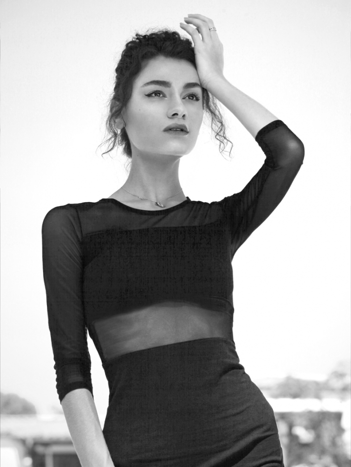 ArpiBlkdresslookupBW