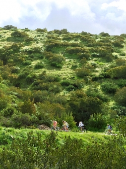 FriendsbikingingreenhillsWL