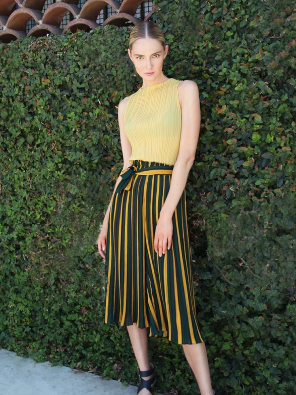 OlgaCerpitaYellowStripeGrassFullwall1WL